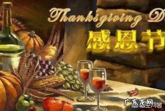 你认为美国文化有哪些特点?