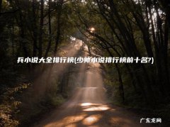 少帅小说排行榜前十名? 兵小说大全排行榜