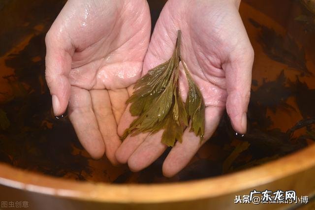 坚持用艾叶洗头,三天一次,一个月后,会有什么变化?