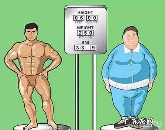 健身两年的人突然中断健身会生病吗有什么依据