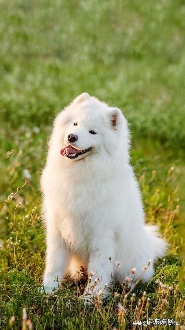 抑郁症,为什么叫抑郁症呢