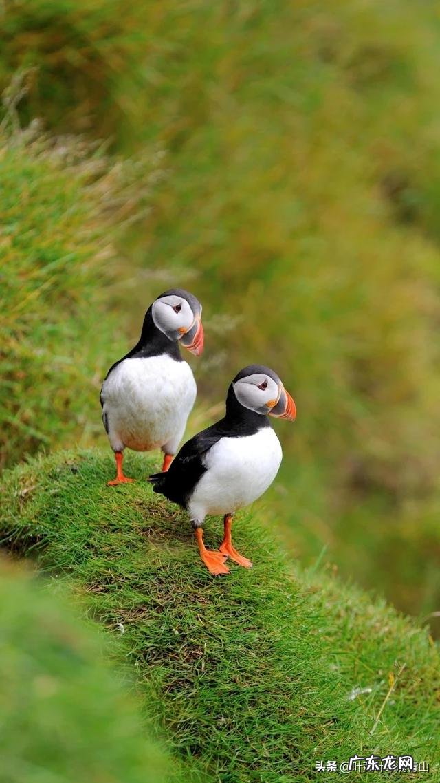 抑郁症,为什么叫抑郁症呢