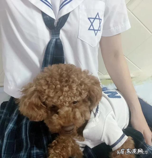 男朋友说不介意自己女朋友胖,你信吗