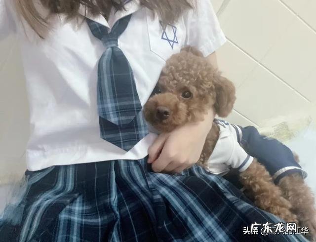 男朋友说不介意自己女朋友胖,你信吗