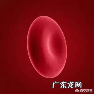 我现在怀孕第8周了,早孕反应太严重,怎么做才能够缓解呢