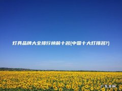 中国十大灯排名? 灯具品牌大全排行榜前十名