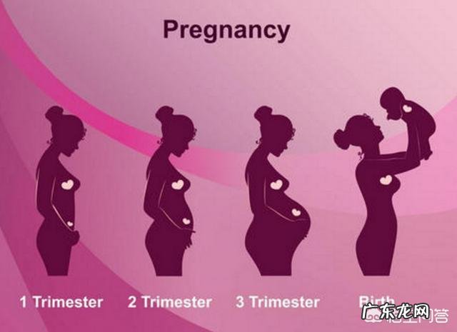 怀孕2个月,吃得少为什么长了7斤?