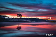 奢侈品皮鞋品牌排行榜前十名? 女鞋品牌大全排行榜二棉鞋皮鞋