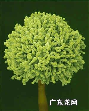 现在癌症频发的根本原因是什么?