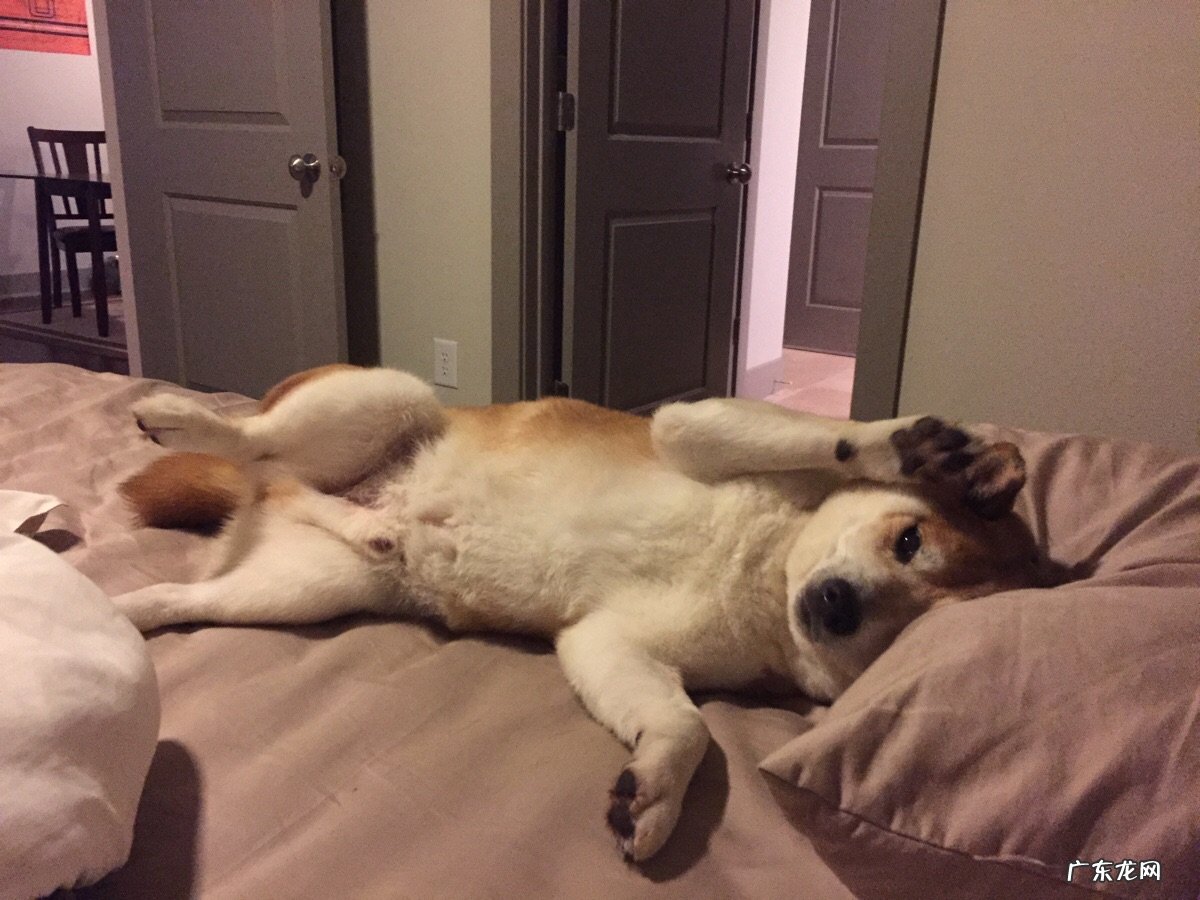 生过宝宝后堆积在腹部大腿上的赘肉应该怎么减?