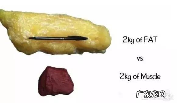 如何在一周内从104斤减到100斤?