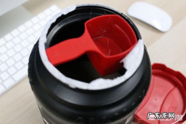 健身吃什么牌子的蛋白粉呢?