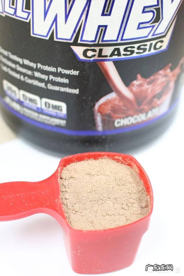 健身吃什么牌子的蛋白粉呢?