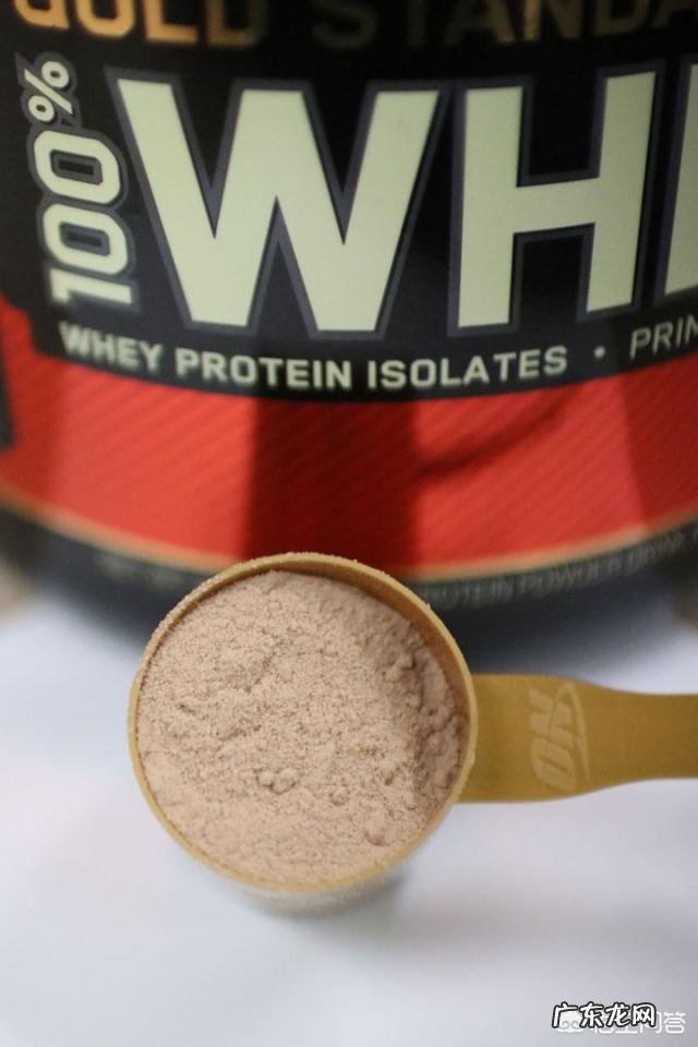 健身吃什么牌子的蛋白粉呢?
