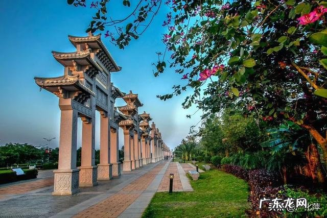 每天坚持一些什么小习惯,几年后你会感觉真的很给力