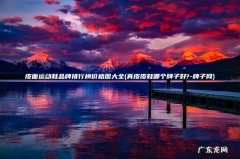 真皮皮鞋哪个牌子好?-牌子网 皮面运动鞋品牌排行榜价格图大全