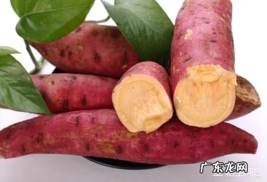 红薯有哪些功效?如何食用功效最好?