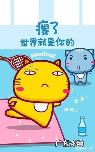 减肥贴真的能减肥吗?有哪些依据?