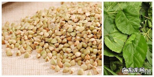 爱吃肉容易得高血脂,只吃素不吃肉,也会高血脂吗?