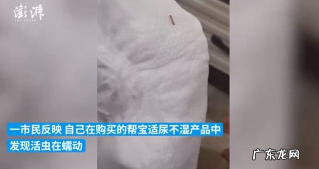 纸尿裤里出现虫子的是哪家的-为什么纸尿裤里面有虫子