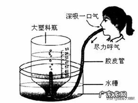 肺活量的大小可以反映身体呼吸机能的强弱是对的还是错的