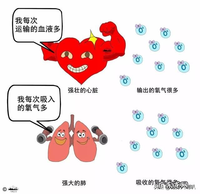 肺活量的大小可以反映身体呼吸机能的强弱是对的还是错的