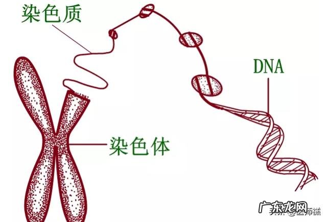 怀孕高血压会导致宝宝头大吗