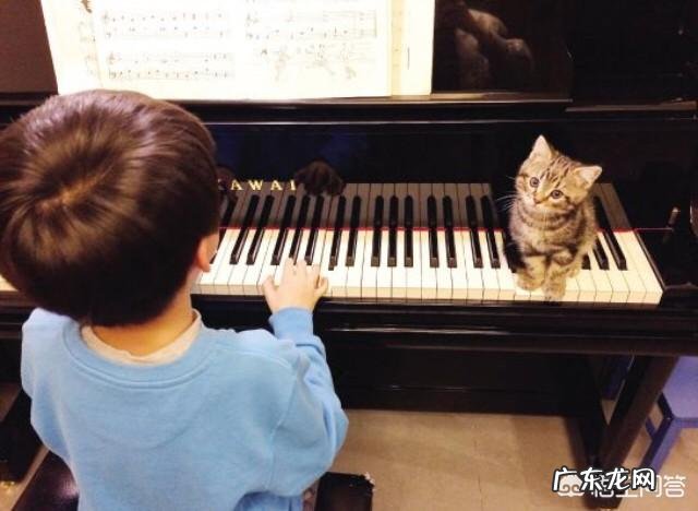 有礼貌的孩子在家做些什么