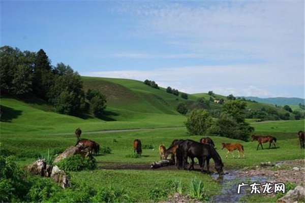 成都周边好玩的地方 新疆好玩的景区排行榜前十