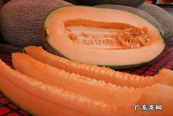 新疆绿洲地带的主要农产品 新疆十大知名特色农产品