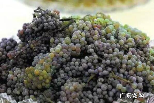 新疆葡萄价格 新疆十大知名葡萄品种