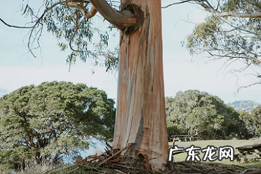 淘宝转化率低了怎么提高？什么是转化率？