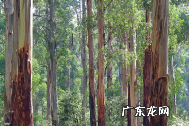 淘特怎么上产品？有哪些条件？