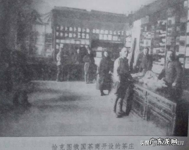 人真的是学懒容易,学勤难吗?