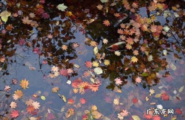 人真的是学懒容易，学勤难吗？