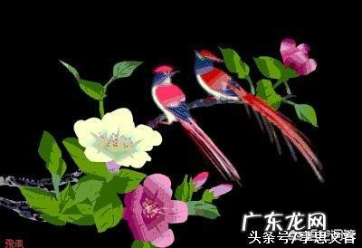 一个女人对你习惯了是不是一种爱你怎么看