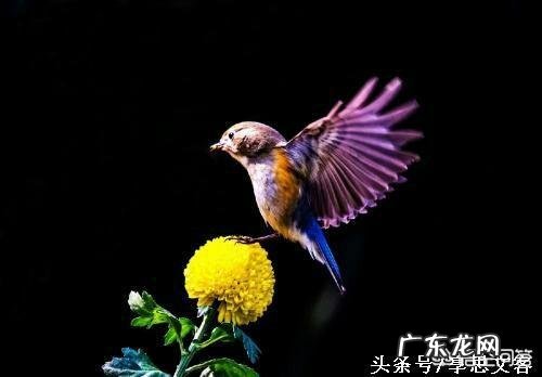 一个女人对你习惯了是不是一种爱你怎么看