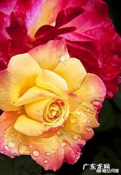 一个女人对你习惯了是不是一种爱你怎么看