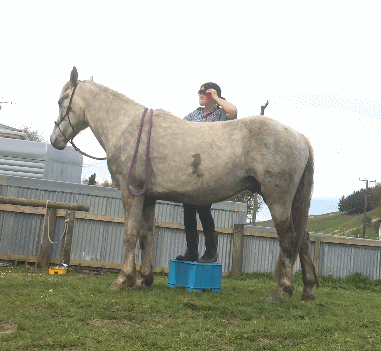 哪些搞笑图片会让你笑岔气