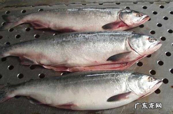 黑龙江啤酒品牌大全 黑龙江特产排行榜前十名