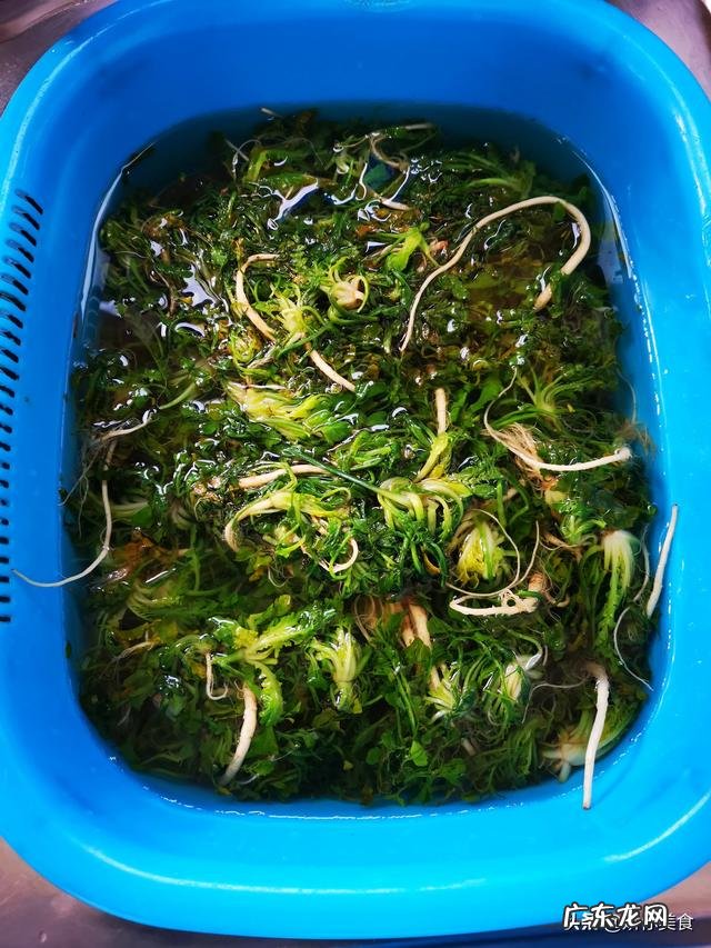 即将到来的春天,对于减肥有什么好建议吗?