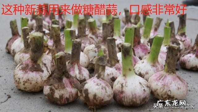 前端的编程软件哪些比较好用？