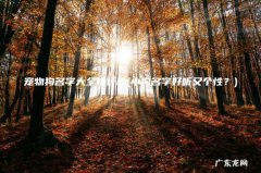 小狗名字好听又个性？ 宠物狗名字大全排行榜