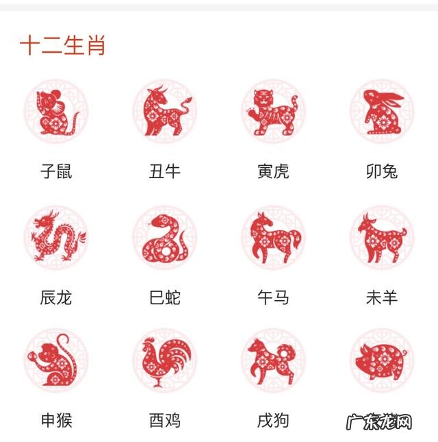 12生肖是怎样排名? 生肖排行榜大全