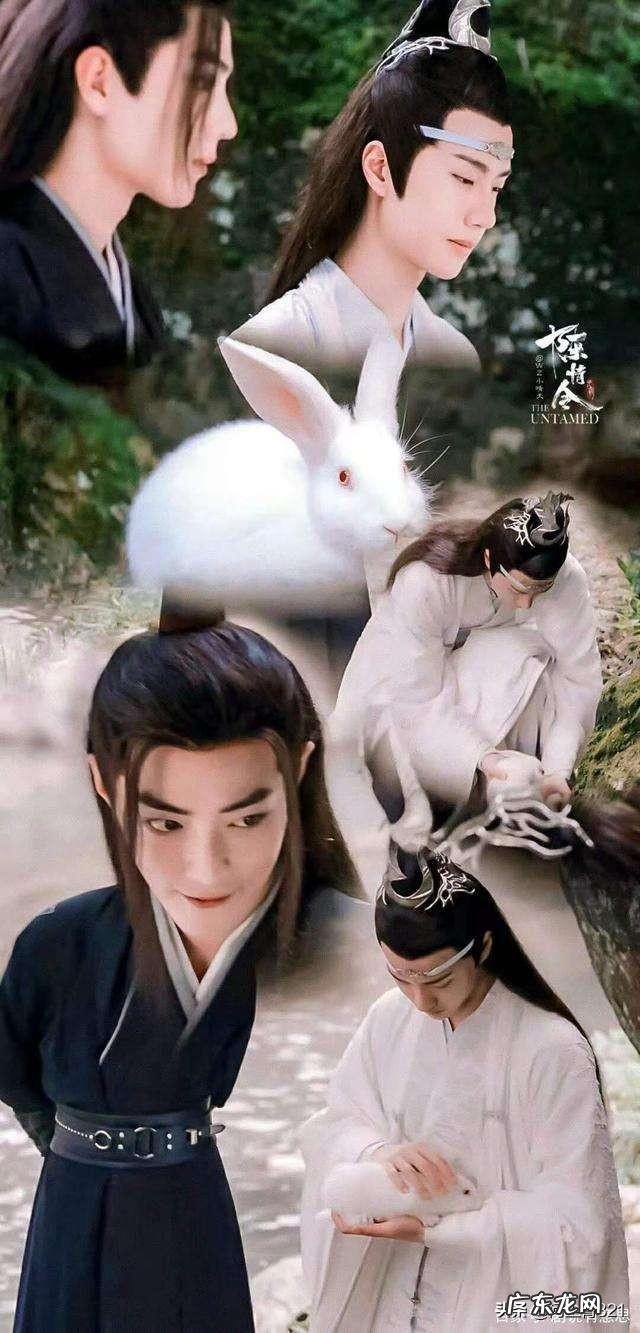 是什么让你突然开始运动并坚持下去