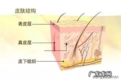 叶酸代谢较弱，可以怀孕吗该怎么办