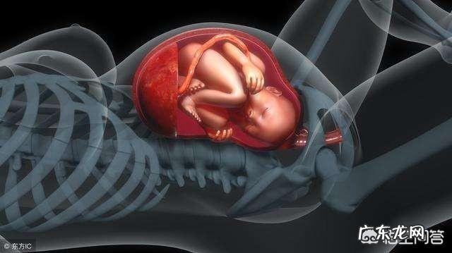 怀孕7个半月,还要做几次产检有什么注意事项