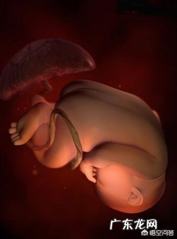 37周足月了,宝宝胎动还很厉害呢,有什么影响吗