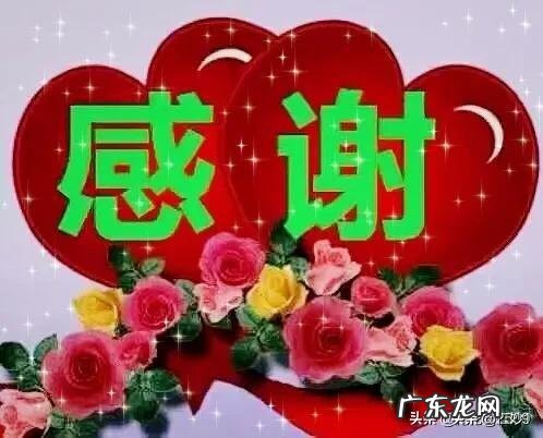 如何才能让生活过得有趣些呢