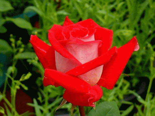 如何才能让生活过得有趣些呢